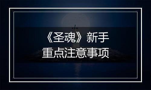 《圣魂》新手重点注意事项