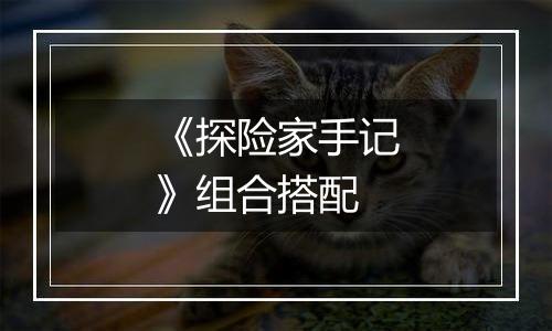 《探险家手记》组合搭配