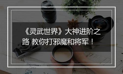 《灵武世界》大神进阶之路 教你打邪魔和将军！