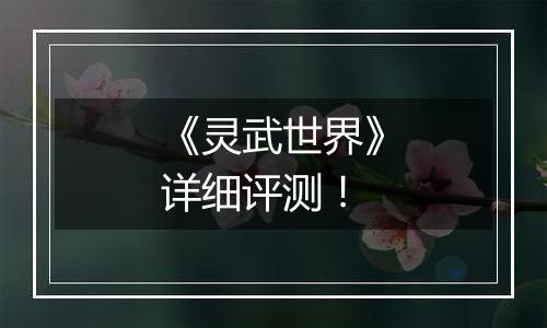 《灵武世界》详细评测！