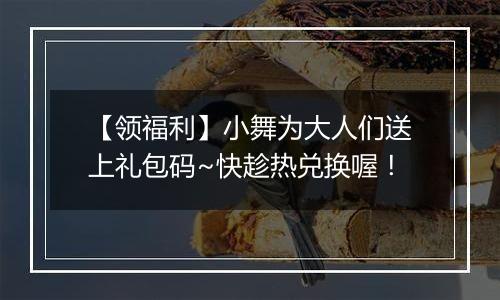 【领福利】小舞为大人们送上礼包码~快趁热兑换喔！
