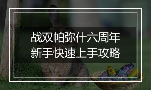 战双帕弥什六周年新手快速上手攻略