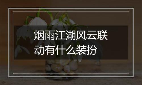 烟雨江湖风云联动有什么装扮