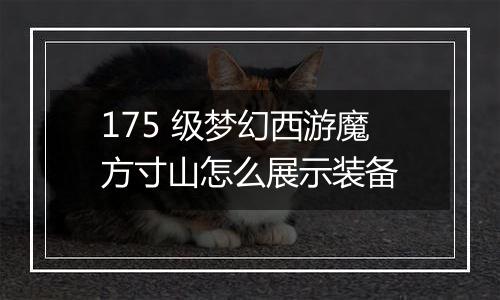 175 级梦幻西游魔方寸山怎么展示装备