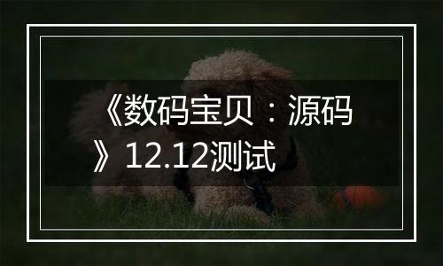 《数码宝贝：源码》12.12测试