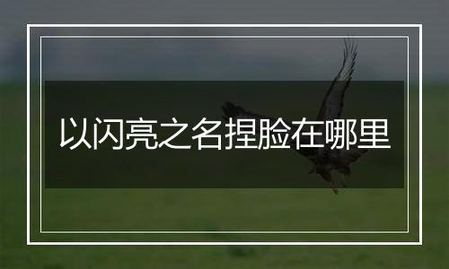 以闪亮之名捏脸在哪里