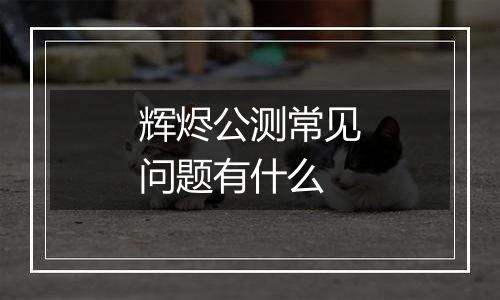 辉烬公测常见问题有什么