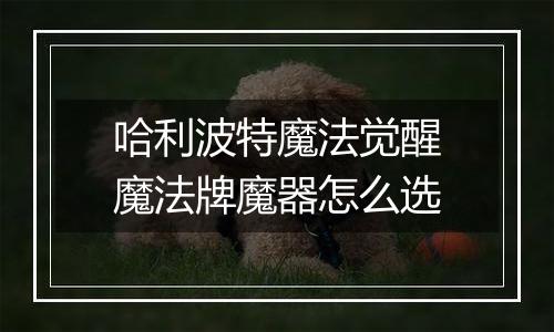 哈利波特魔法觉醒魔法牌魔器怎么选