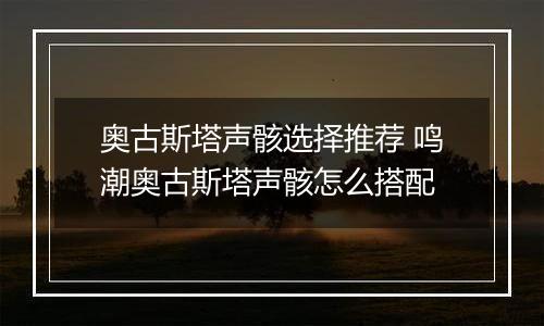 奥古斯塔声骸选择推荐 鸣潮奥古斯塔声骸怎么搭配