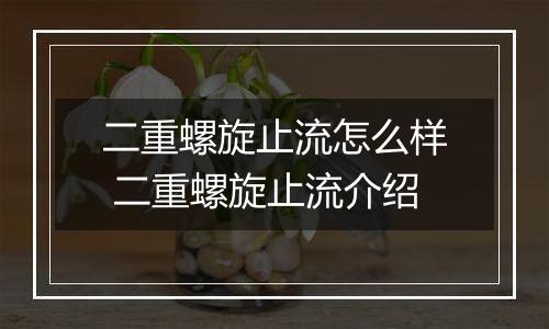 二重螺旋止流怎么样 二重螺旋止流介绍