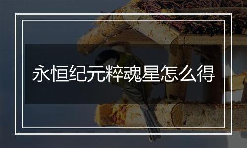 永恒纪元粹魂星怎么得