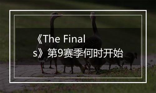 《The Finals》第9赛季何时开始