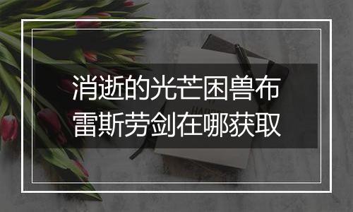 消逝的光芒困兽布雷斯劳剑在哪获取