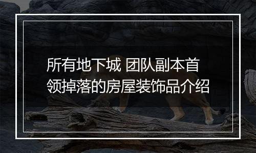 所有地下城 团队副本首领掉落的房屋装饰品介绍