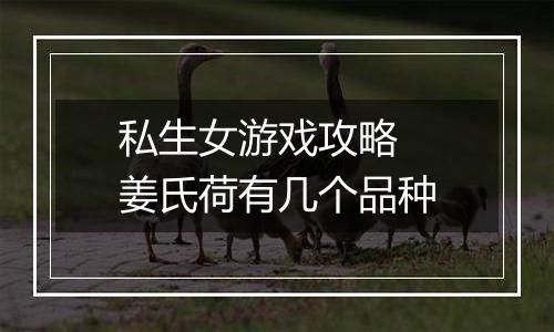 私生女游戏攻略  姜氏荷有几个品种