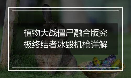 植物大战僵尸融合版究极终结者冰毁机枪详解