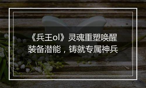 《兵王ol》灵魂重塑唤醒装备潜能，铸就专属神兵