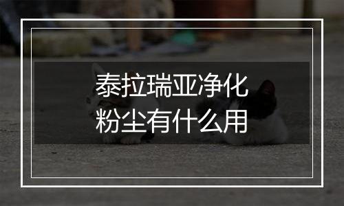 泰拉瑞亚净化粉尘有什么用