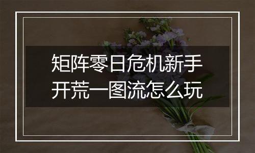 矩阵零日危机新手开荒一图流怎么玩