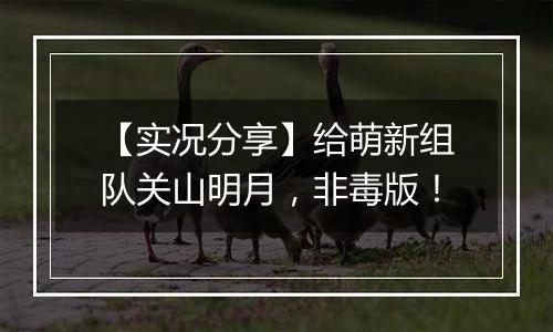 【实况分享】给萌新组队关山明月，非毒版！