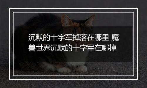 沉默的十字军掉落在哪里 魔兽世界沉默的十字军在哪掉