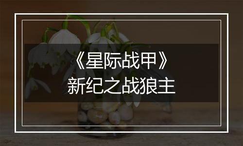 《星际战甲》新纪之战狼主