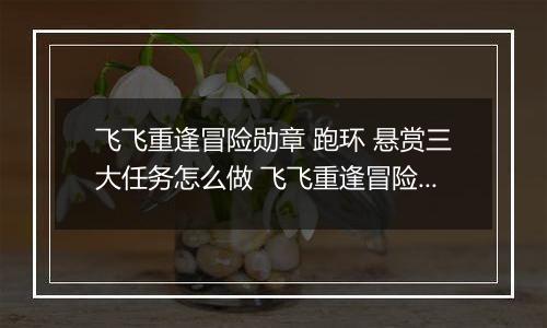 飞飞重逢冒险勋章 跑环 悬赏三大任务怎么做 飞飞重逢冒险勋章 跑环 悬赏三大任务攻略