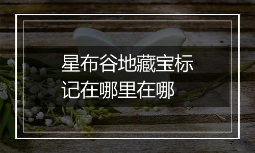 星布谷地藏宝标记在哪里在哪