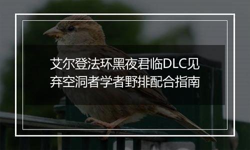 艾尔登法环黑夜君临DLC见弃空洞者学者野排配合指南