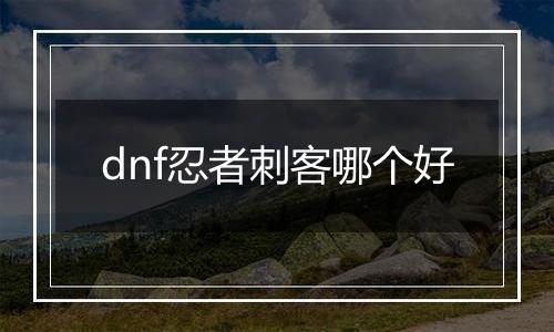 dnf忍者刺客哪个好