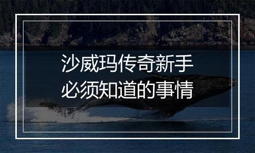 沙威玛传奇新手必须知道的事情