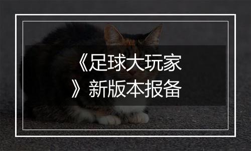 《足球大玩家》新版本报备