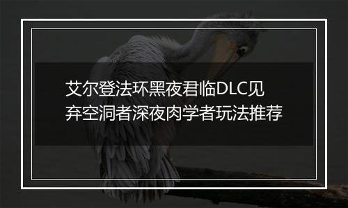 艾尔登法环黑夜君临DLC见弃空洞者深夜肉学者玩法推荐