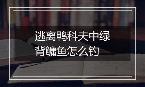 逃离鸭科夫中绿背鳙鱼怎么钓