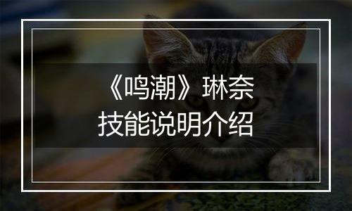 《鸣潮》琳奈技能说明介绍