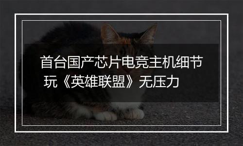 首台国产芯片电竞主机细节 玩《英雄联盟》无压力