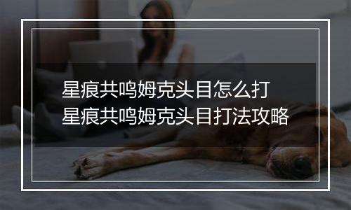 星痕共鸣姆克头目怎么打 星痕共鸣姆克头目打法攻略