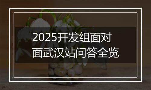 2025开发组面对面武汉站问答全览