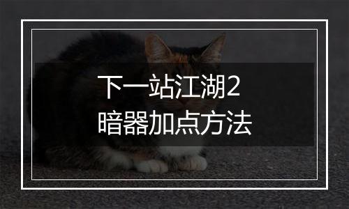 下一站江湖2暗器加点方法