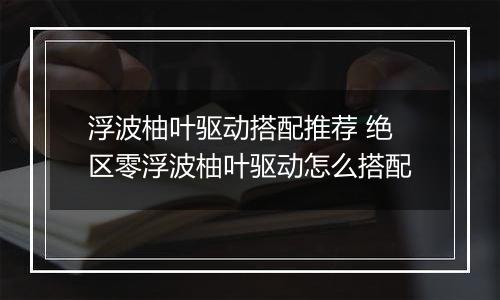 浮波柚叶驱动搭配推荐 绝区零浮波柚叶驱动怎么搭配