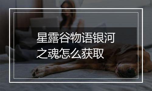 星露谷物语银河之魂怎么获取