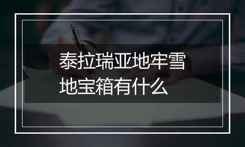 泰拉瑞亚地牢雪地宝箱有什么