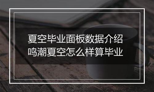 夏空毕业面板数据介绍 鸣潮夏空怎么样算毕业