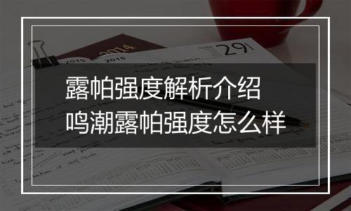 露帕强度解析介绍 鸣潮露帕强度怎么样