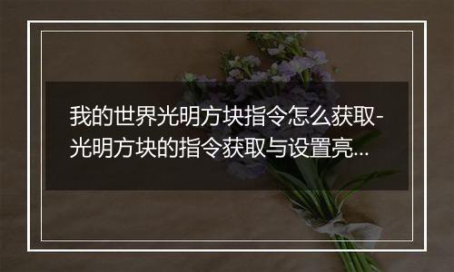 我的世界光明方块指令怎么获取-光明方块的指令获取与设置亮度方法