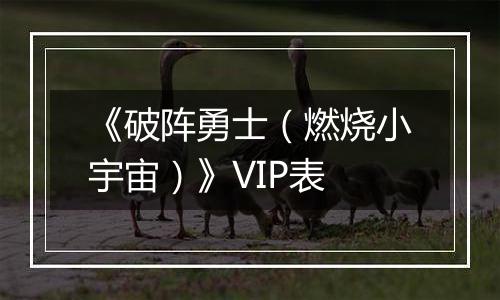 《破阵勇士（燃烧小宇宙）》VIP表