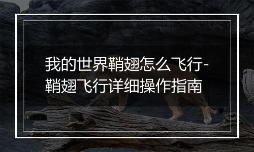 我的世界鞘翅怎么飞行-鞘翅飞行详细操作指南