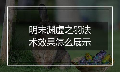 明末渊虚之羽法术效果怎么展示