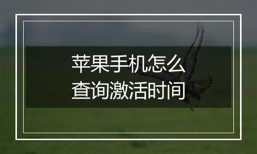苹果手机怎么查询激活时间