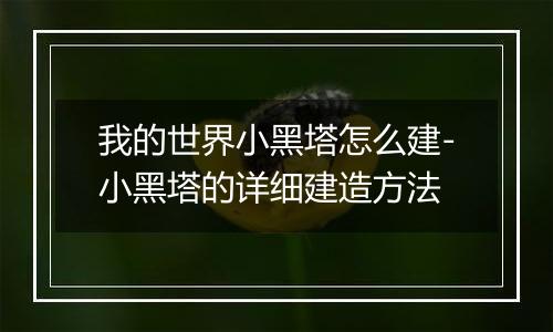 我的世界小黑塔怎么建-小黑塔的详细建造方法